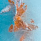 DSC_5756_XL.jpg
